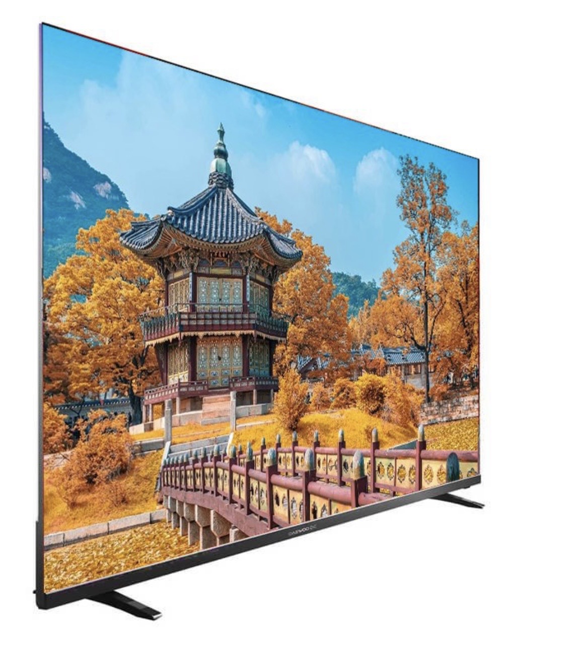 تلویزیون ۶۵ اینچ دوو مدل DSL-65SU1880